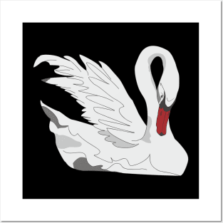 White Swan Posters and Art